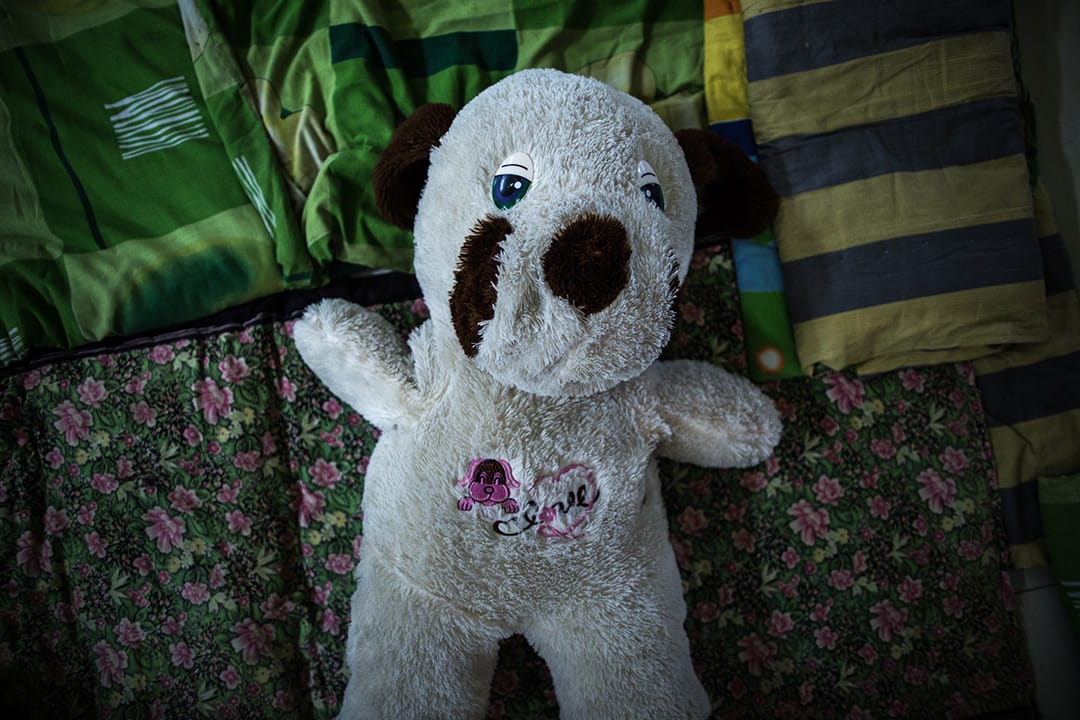 思源學院災民安置點，11歲的胡瑞龍在安置點時旁邊有一個住大賢村的11歲女孩，女孩子離開安置點時，就將這個娃娃送給了胡瑞龍。