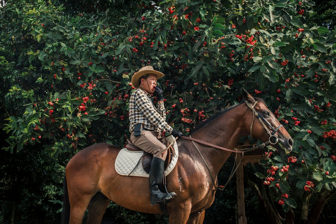 2017年6月23日,十八乡乡事委员会主席梁福元,在他的公园中骑著马,摘下旁边树上的苹果,张口便咬。