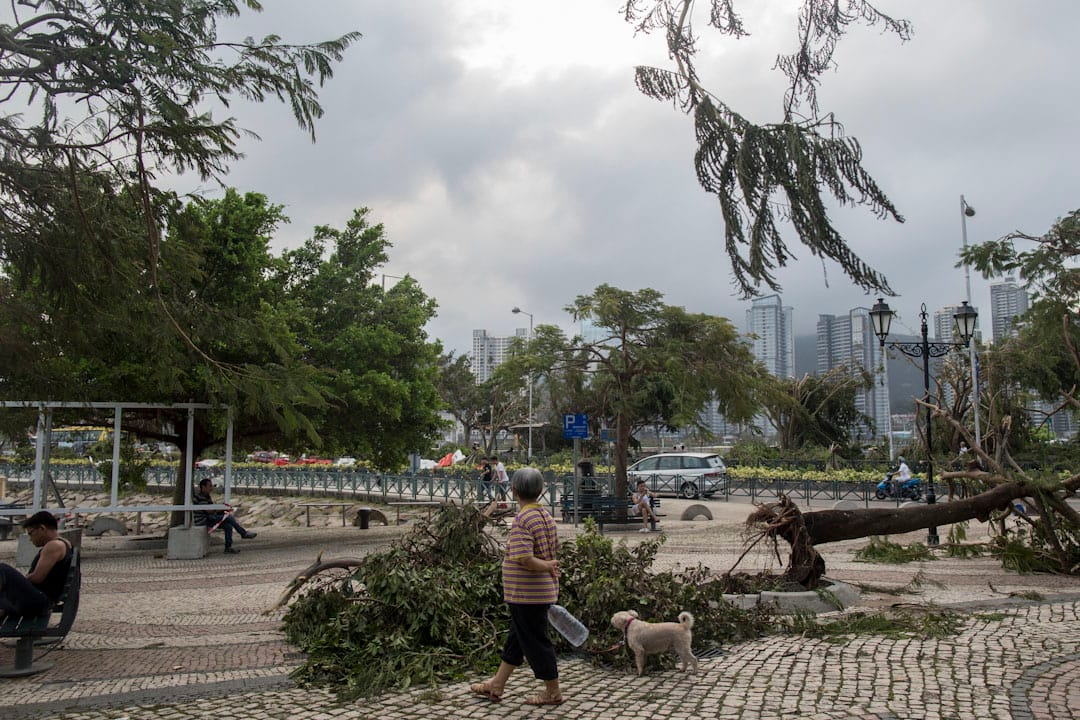 颱風「天鴿」吹襲後，澳門居民到市面觀察損毀情況。