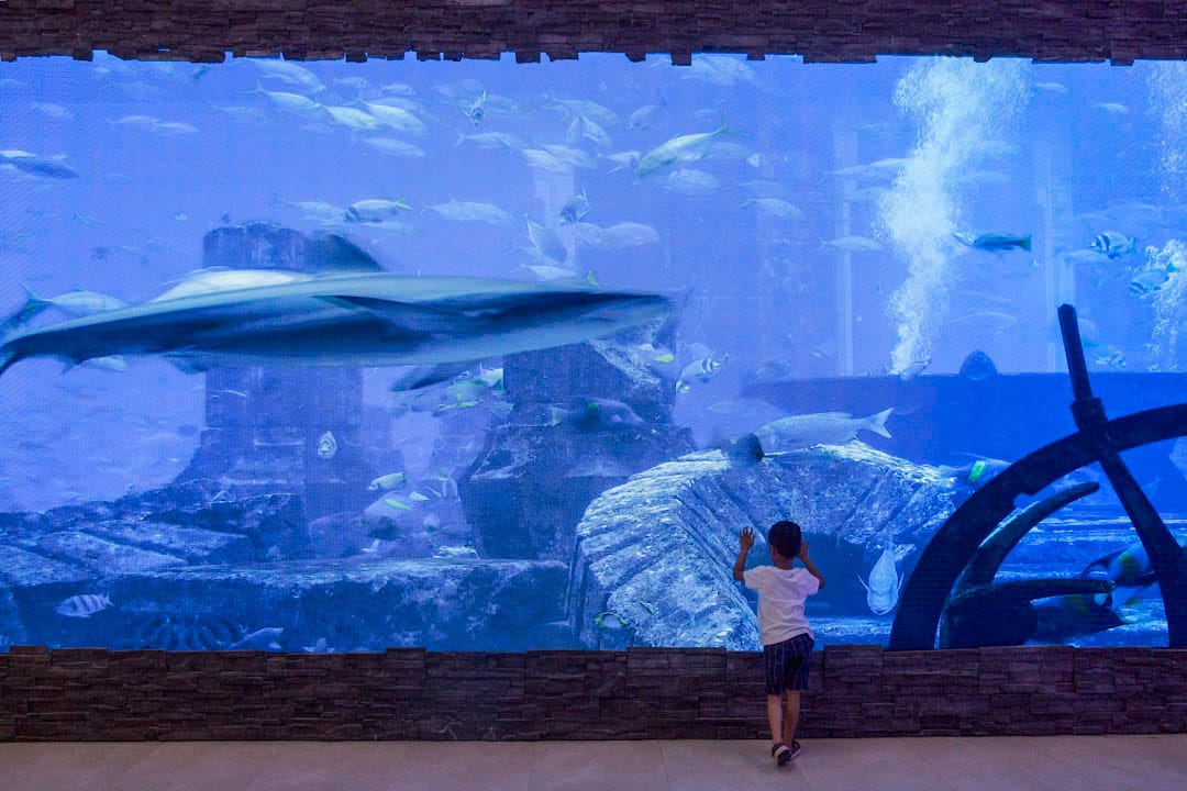 青衣长发街市现外判给建华集团管理,街市内装置一个巨大的电子萤幕,循环播放著水族箱般的画面。