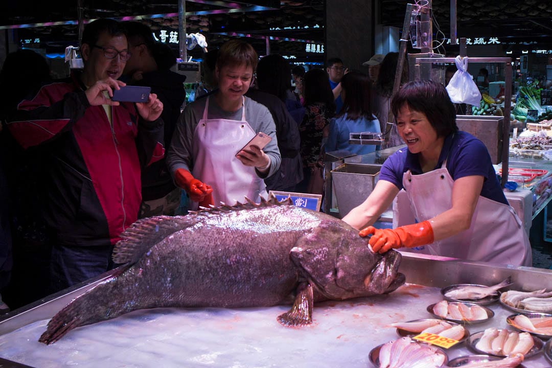 长发街市的鱼档时而生㓥龙趸,并由"街市DJ"在旁推销,像一场表演。