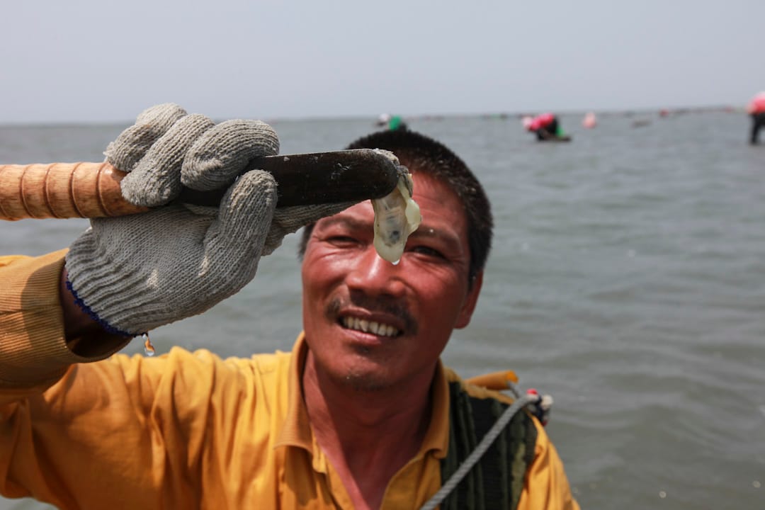 2011年,彰化大城乡民在潮间带集体捡散蚵。