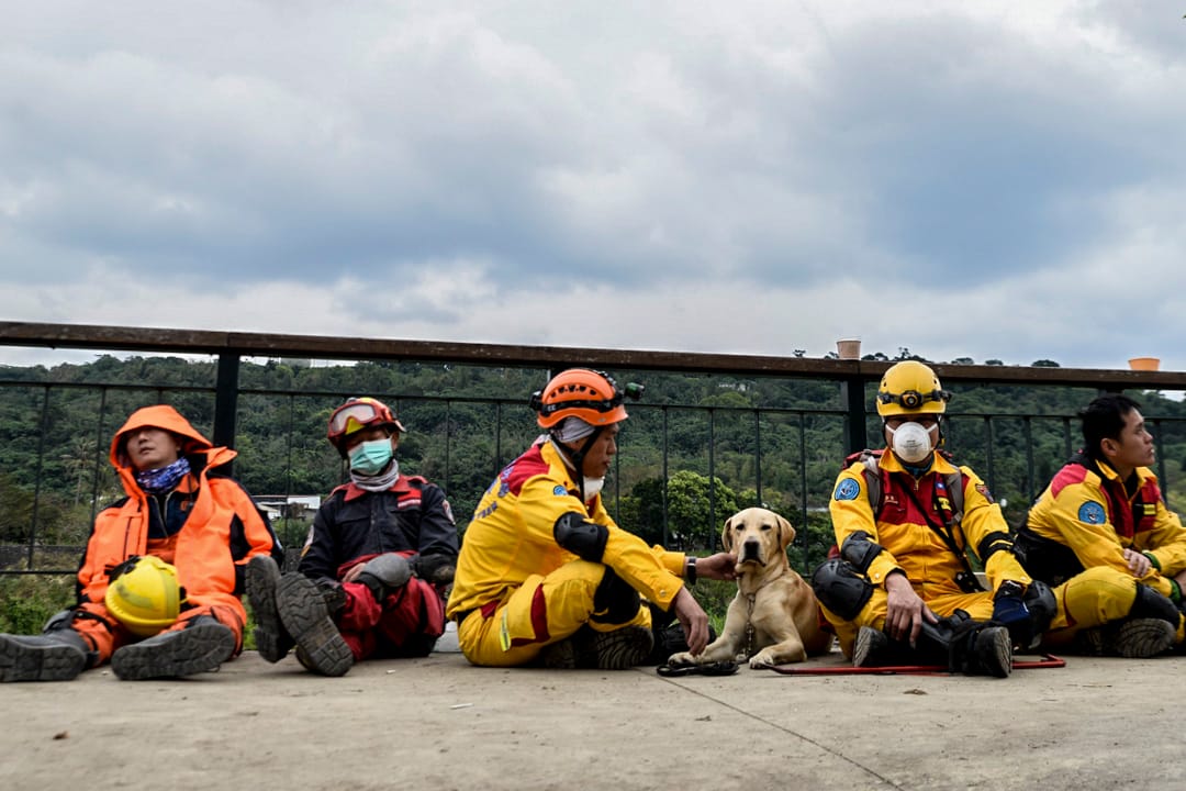 下午一時,雲翠大樓,一旁待命的救災人員和救災狗。