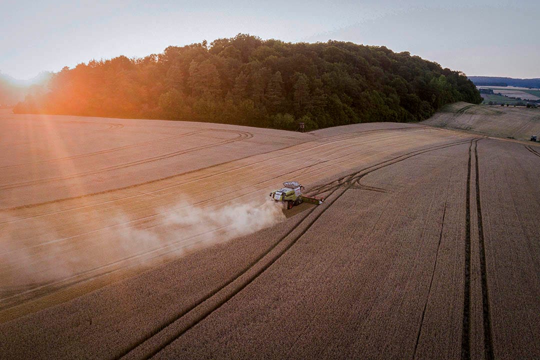 2018年7月16日,德国城镇哥廷根,一辆收割车于日落时分在麦田收割小麦。自德国130年前有纪录以来,这年的是当地经历过最炎热的夏天,干旱的天气也影响了小麦的收成。