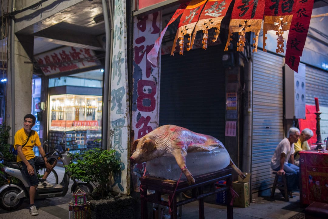 2018年8月18日，金门金湖镇的寺庙外，摆放著祭祀的猪。