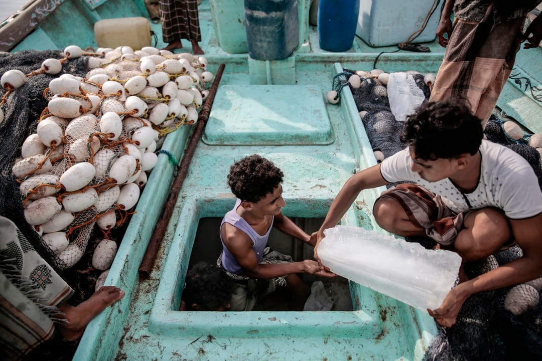 漁民將冰塊搬進船裏，為保持漁獲新鮮。