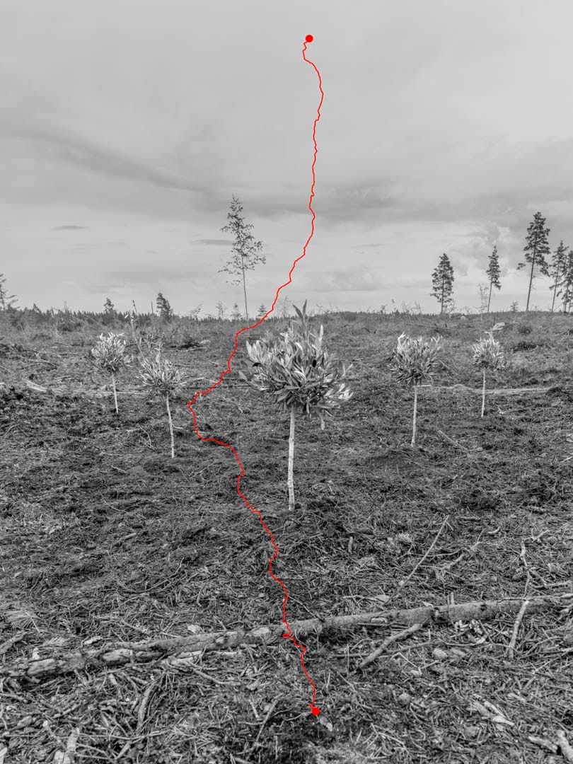 「天然資源」(Nature Like Capital)系列-Fistful Of Peace,2018