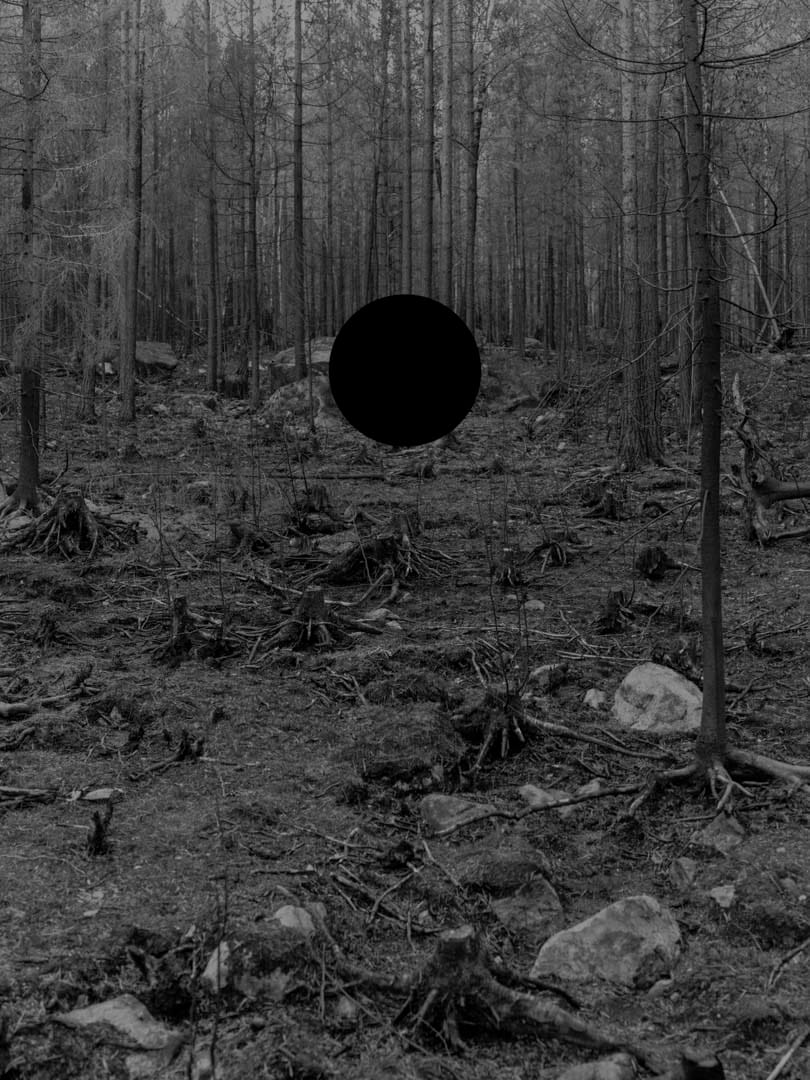 「天然資源」(Nature Like Capital)系列-Foreign Factor,2018