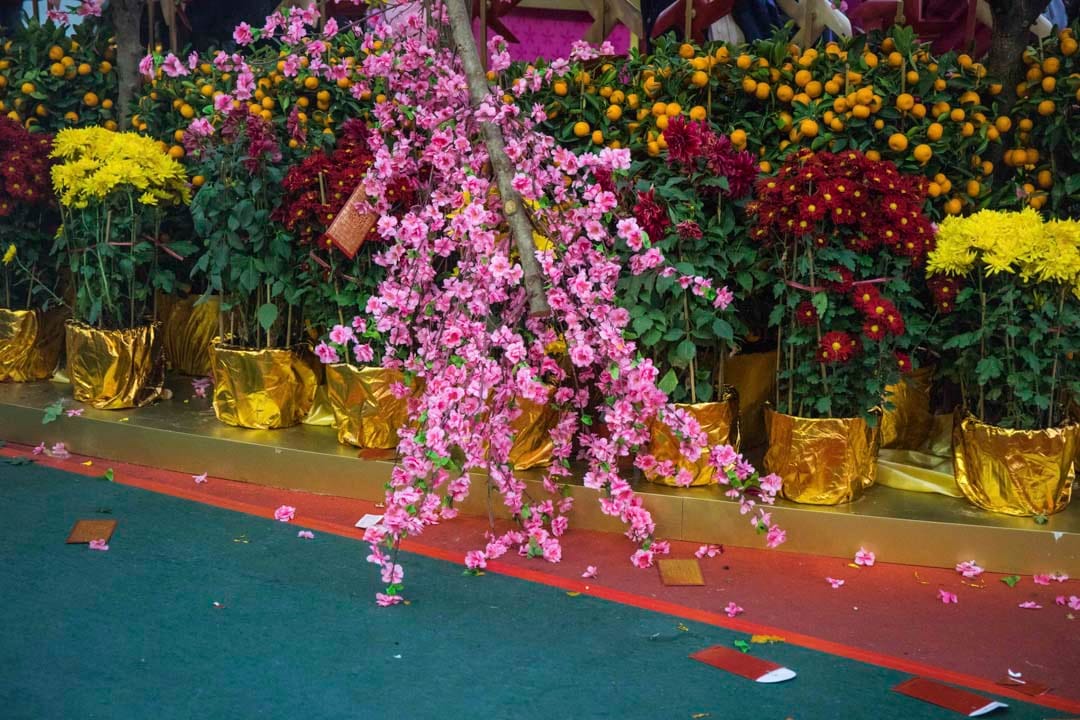 大年初三,马场上一个桃花阵有一棵倒下的桃花树。