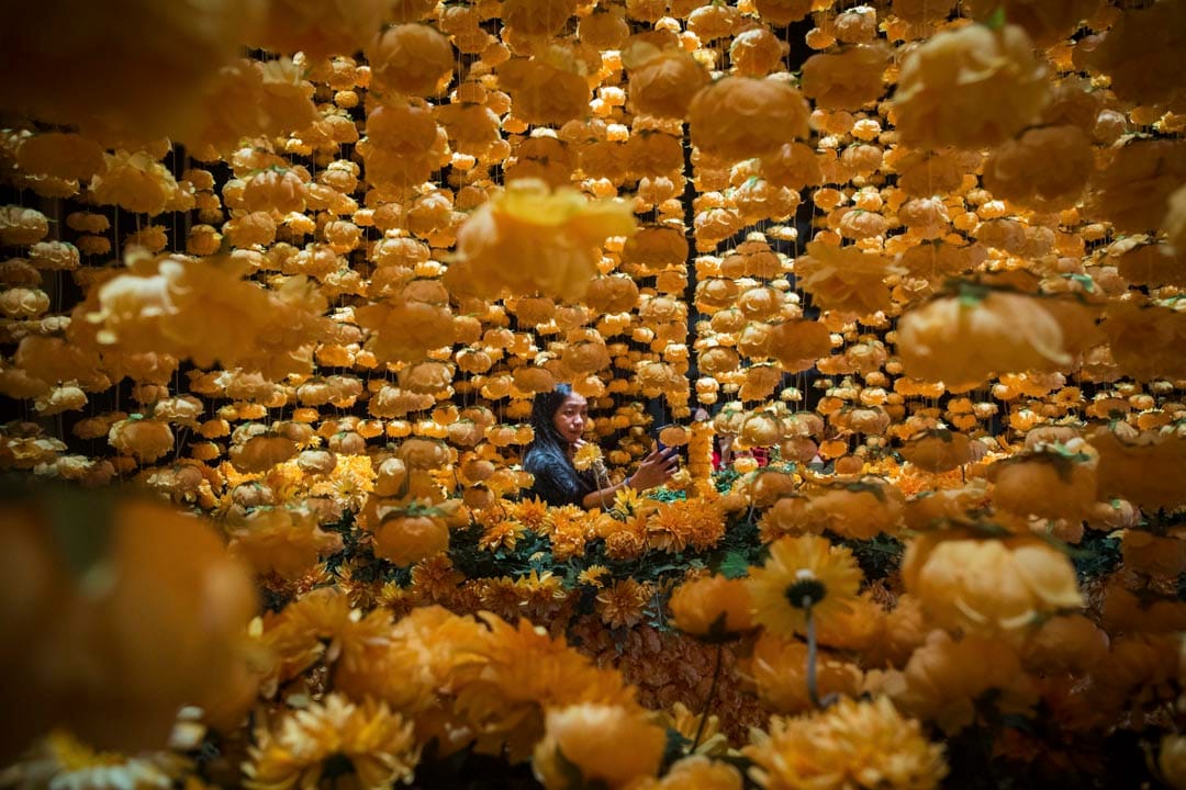 大年初一,市民在铜锣湾时代广场的花海𥚃自拍。