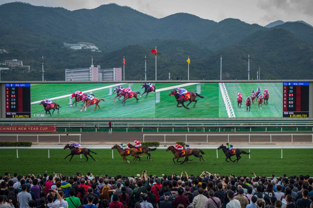 大年初三,市民入场观赏贺岁马。