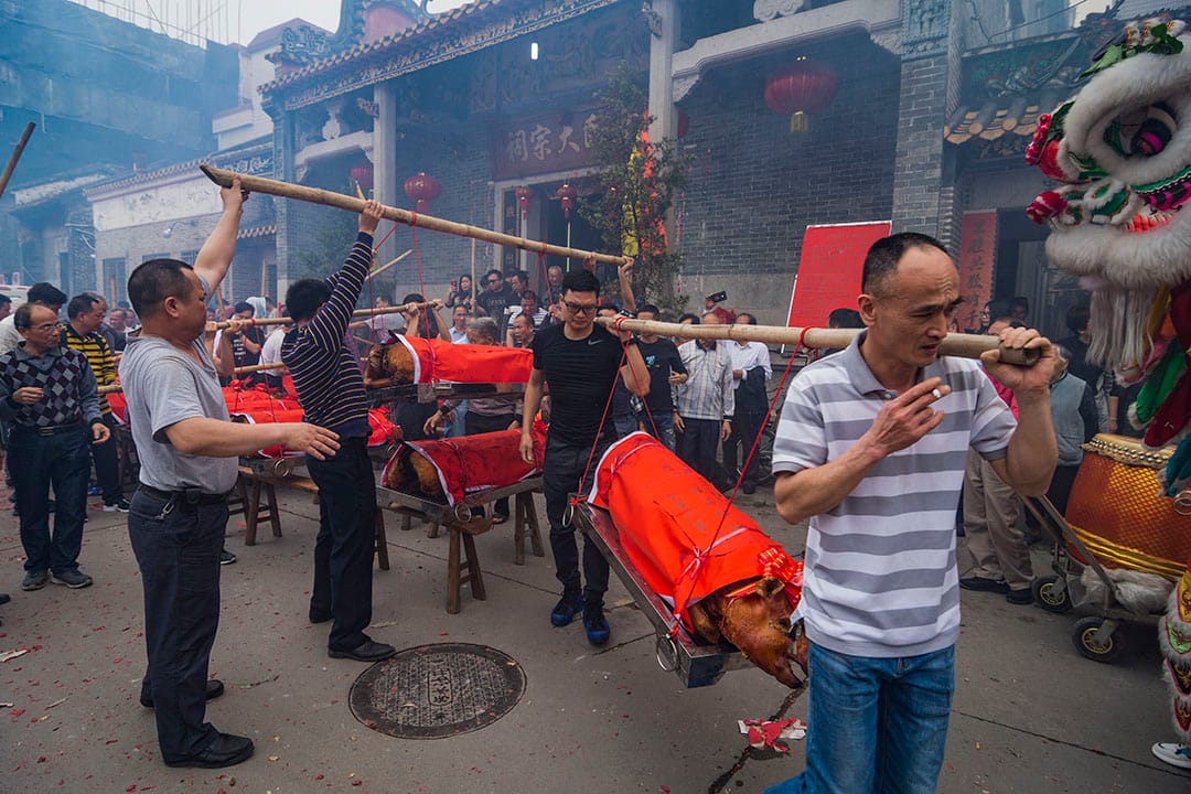 2019年4月4日,中国广东省佛山,村民在清明节前的祭祀仪式期间运载烧猪。