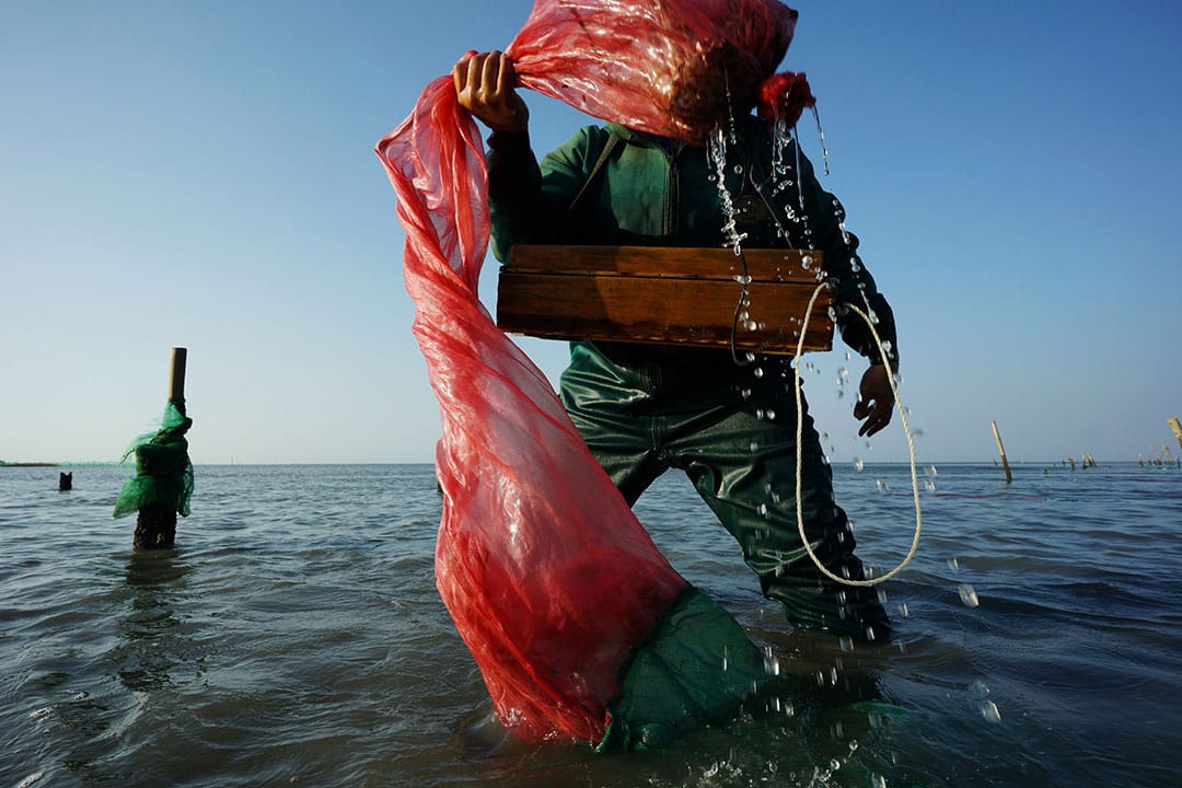 2018得奖作品《我二十年的邻居--六轻营运二十年》我的邻居“六轻”，搬来浊水溪口已经超过二十年了，它是全世界单一最大的石化园区，数百种化学制程，烟囱日以继夜吞吐不休。六轻营运后的这些年， 每当结束微酸、微醺、微臭的夏季后，台湾东北季风的季节，浊水溪南岸则进入了独特的沙尘地理景观，宛如末世，那云雾袅袅的沙尘山水犹若化外仙境。