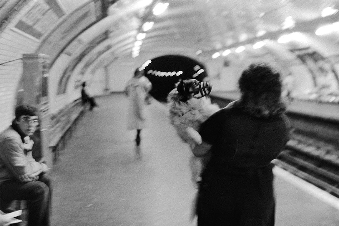 巴黎地铁妇女与狗II（1976-1980)。