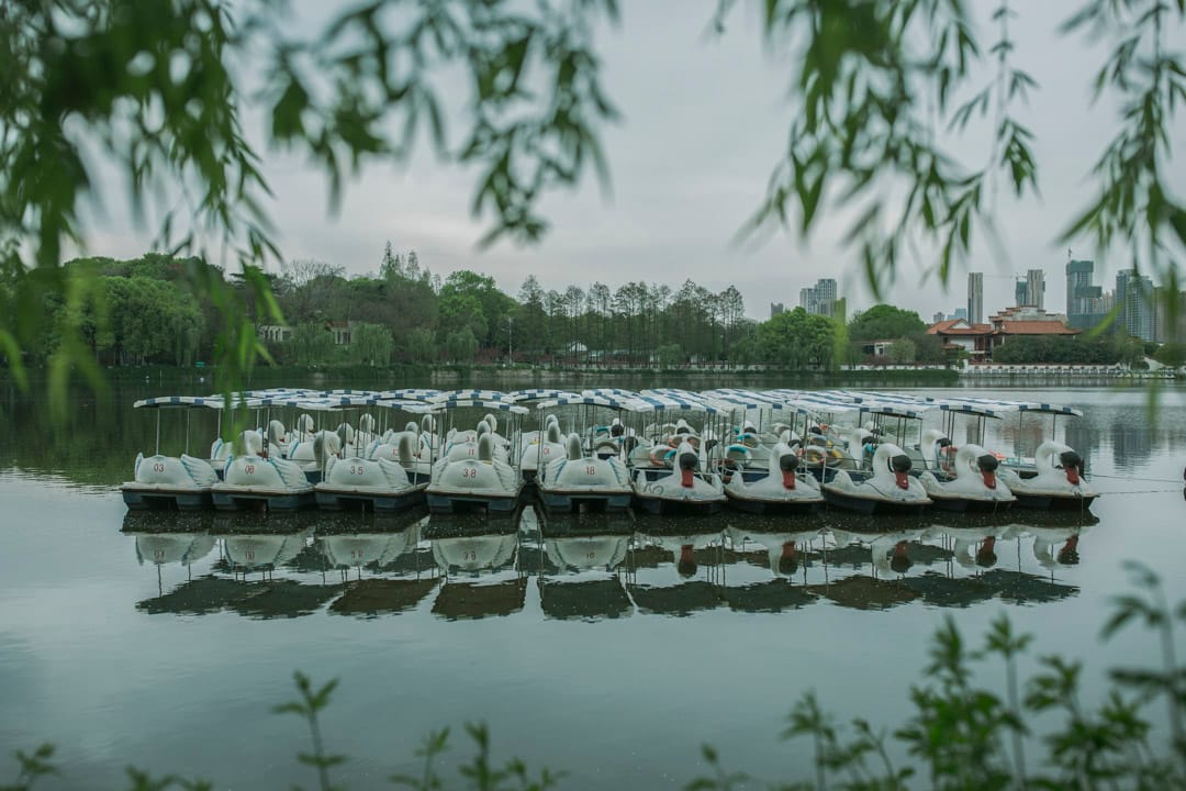武汉动物园，疫情期间暂停开放，游船停在湖心。 