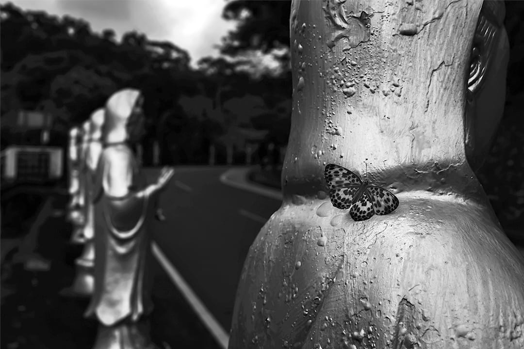 2020年4月2日台湾清明节年假，由于疫情关系，政府呼吁民众减少群聚，台北富德公墓人流较去年减少，一只蝴蝶飞降在一个神像上。