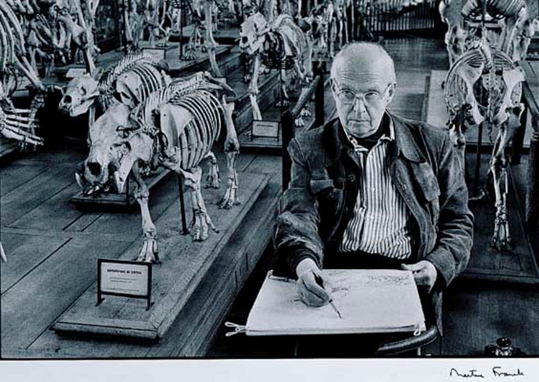 法蘭歌.瑪汀,《布列松》。