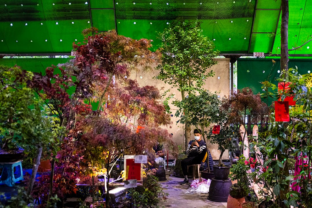 2020年4月16日，台北市建国假日花市的一名年轻人在看手机。