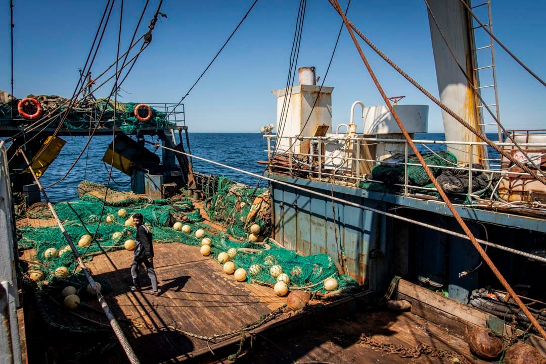 海底的淤泥被漁網拖上船，深陷在甲板的空隙裏。