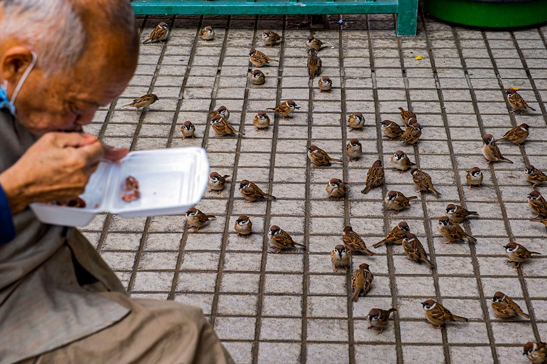 2021年1月22日油麻地,市民在公园内吃饭。