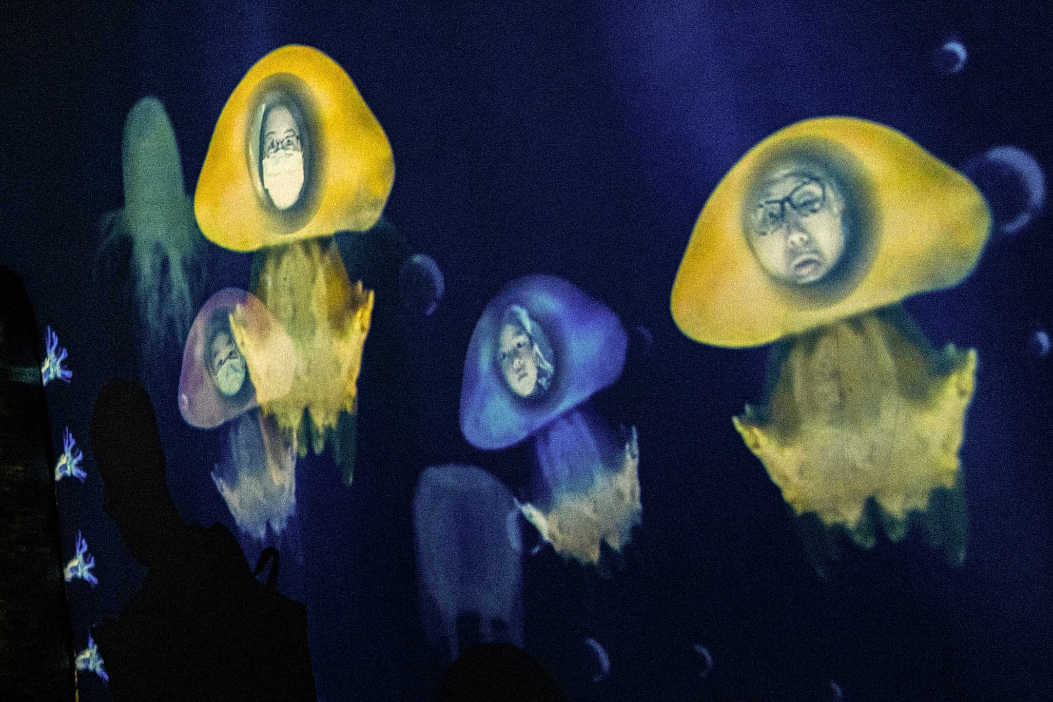 2021年4月3日,遊人在水母館内拍照留念。