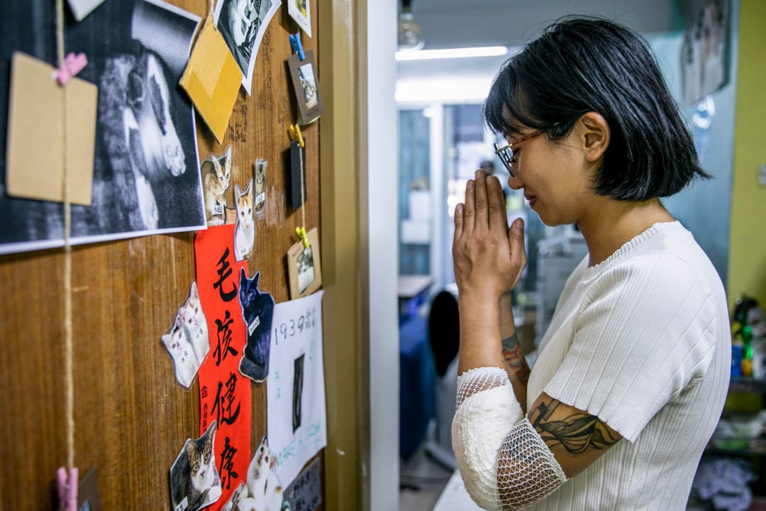 前西貢離島選區區議員陳嘉琳。