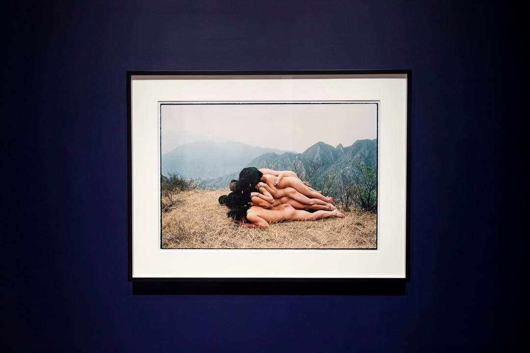 張洹的《為無名山增高一米》。