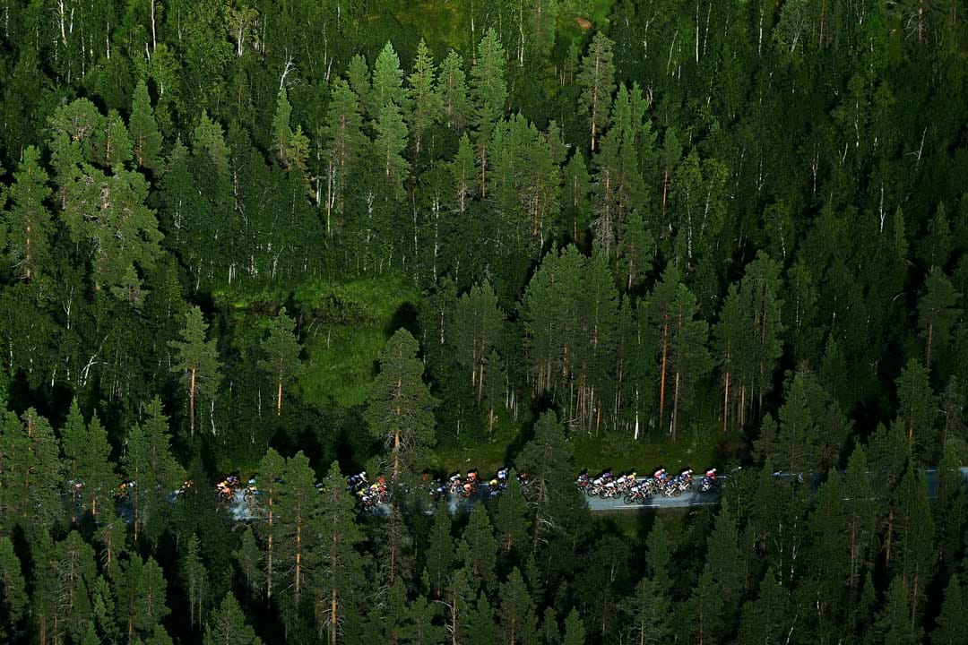 2021年8月7日，挪威Malselv舉行第八屆挪威北極單車賽，主車群在森林中的公路前進。