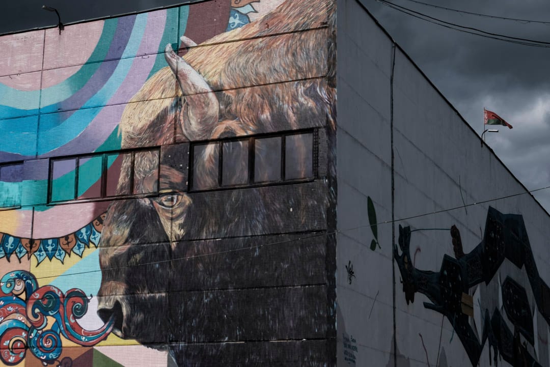 歐洲水牛(European Bison)是白羅斯國家吉祥物,官方指全球百分之 25 的歐洲水牛居住在白羅斯境內的森林,歐洲水牛亦象徵勇敢。