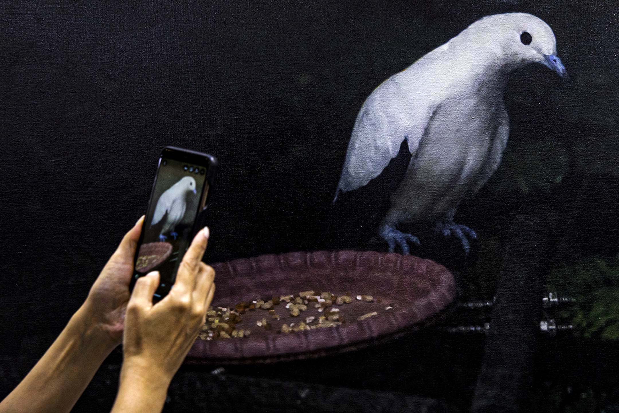 2022年5月21日,台北當代藝術博覽會,市民拍攝藝術品。