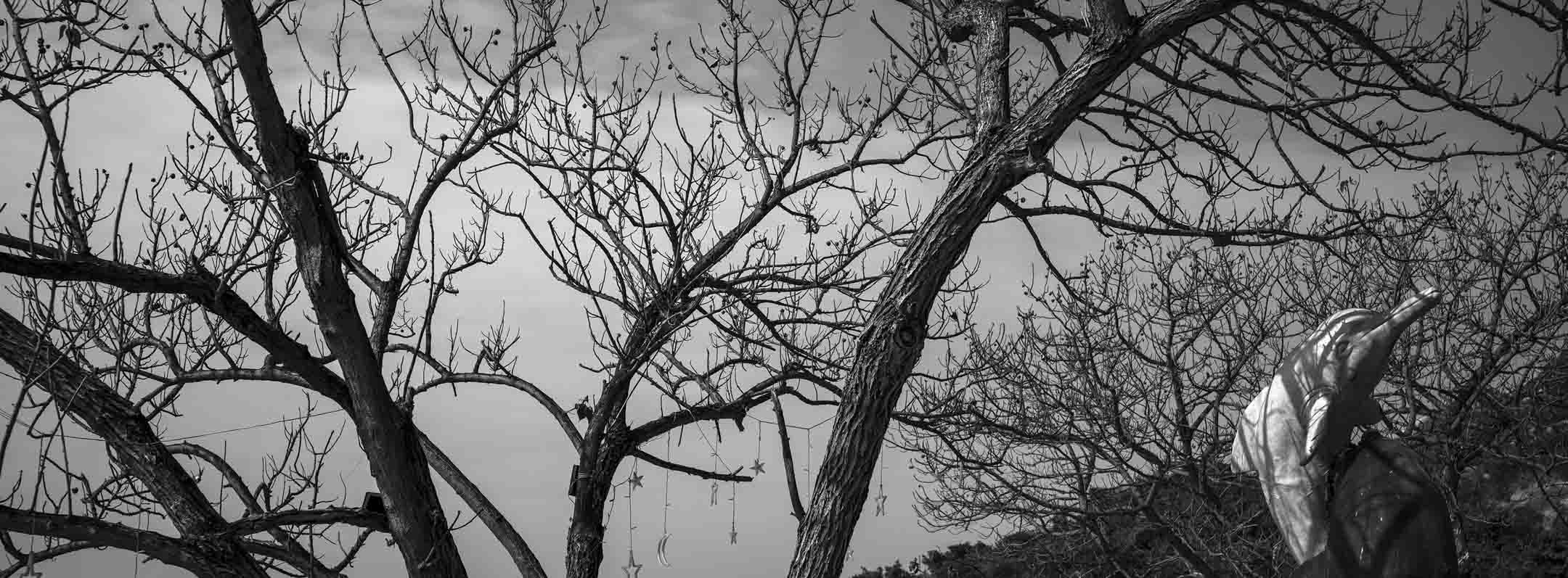 《香港 龍鼓灘》2020。