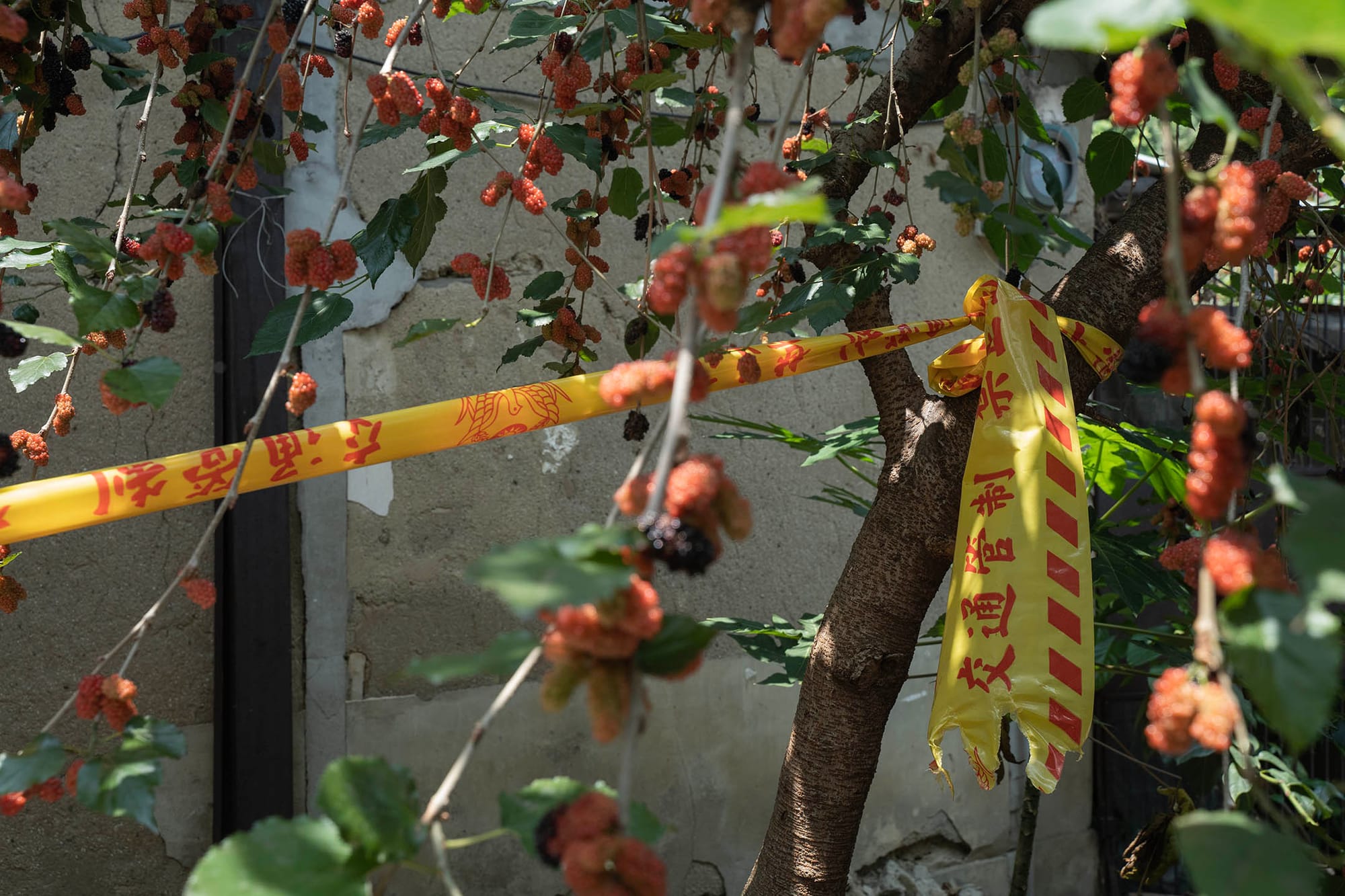 2023年4月10日,台中番仔路庄,房子外掛上封鎖線。