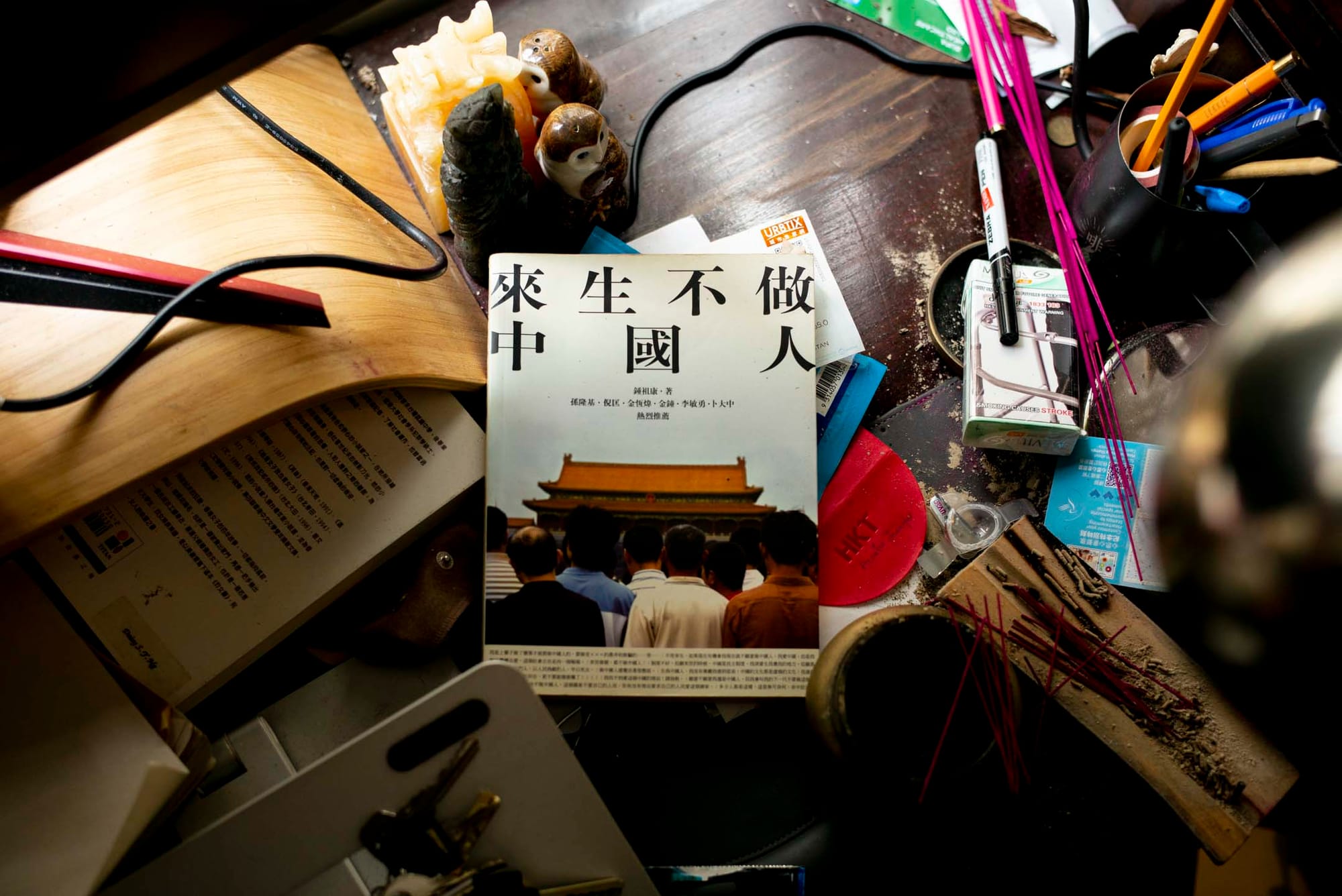 鍾祖康《來生不做中國人》。攝:林振東/端傳媒