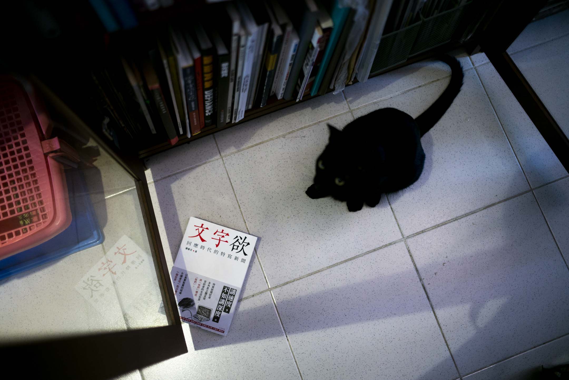 譚蕙芸《文字欲:回應時代的特寫新聞》。攝:林振東/端傳媒