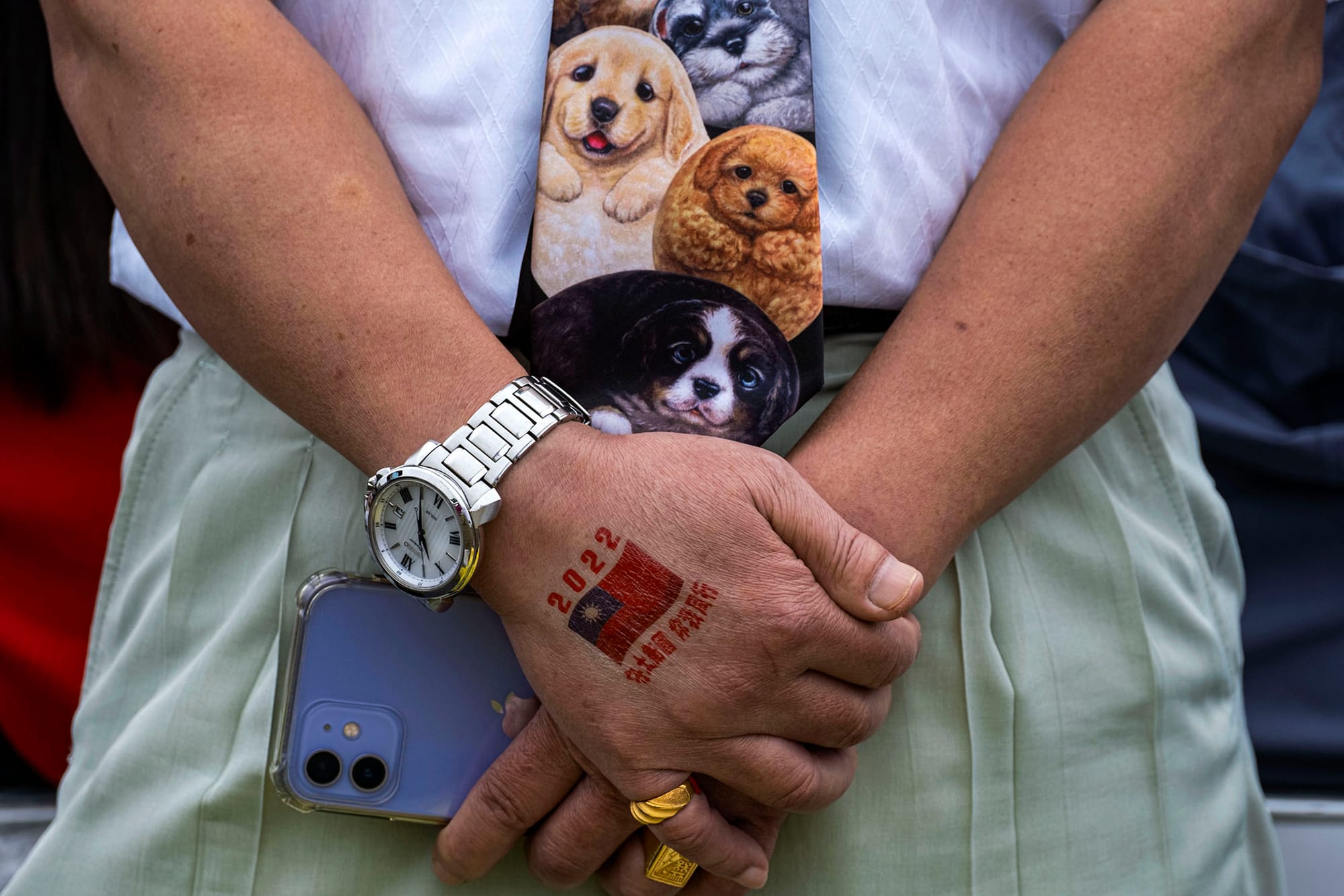 2022年10月10日，雙十國慶典禮期間，一名參與者手上印上台灣國旗，及“護國衞土你我同行”的標語。攝：陳焯煇/端傳媒