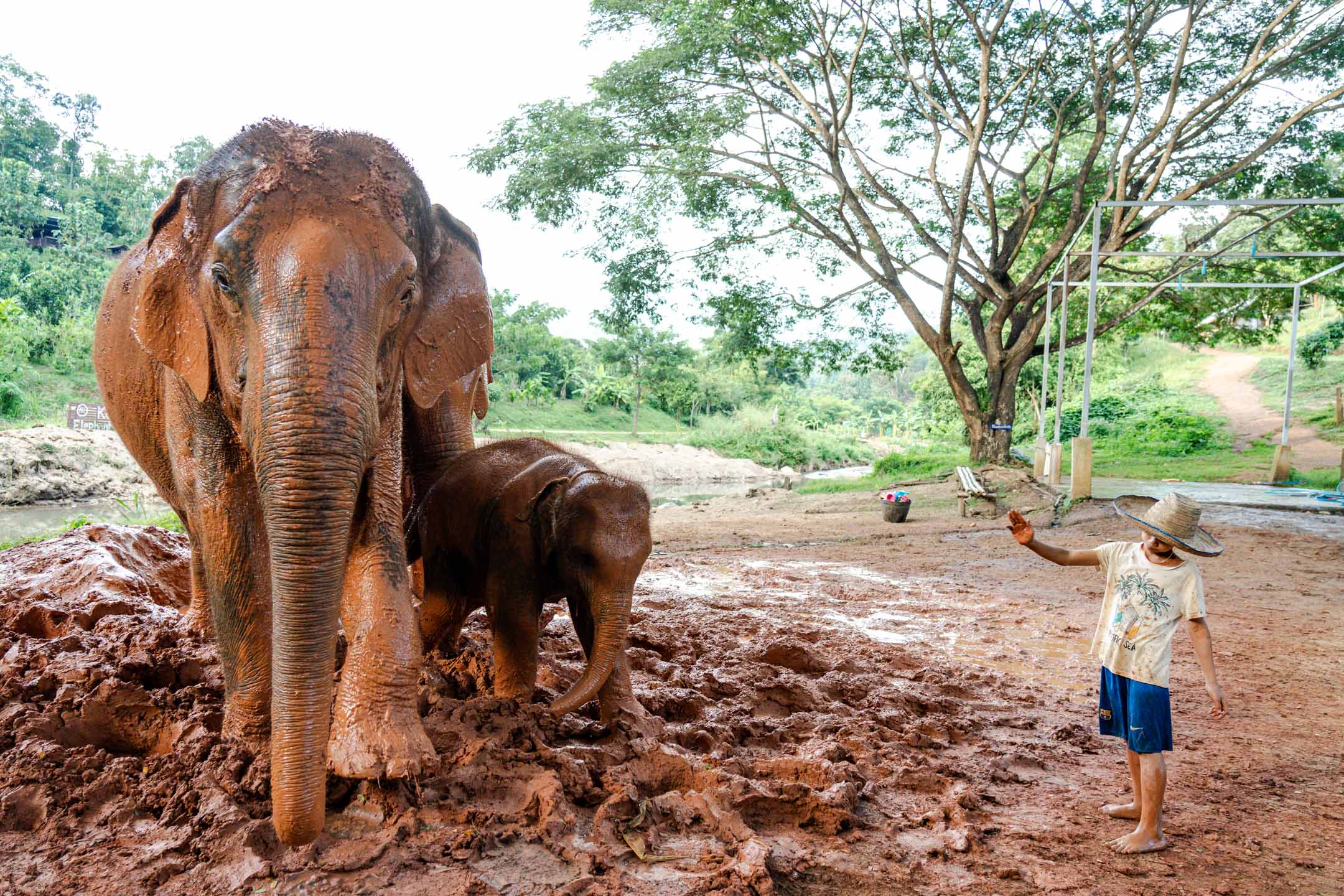 泰國清邁的郊區。攝：Ryan Lai/端傳媒