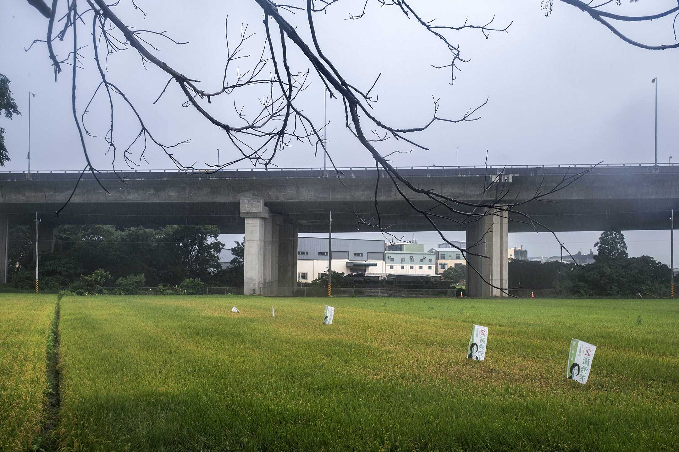 2023年6月3日,台中。攝:陳焯煇/端傳媒