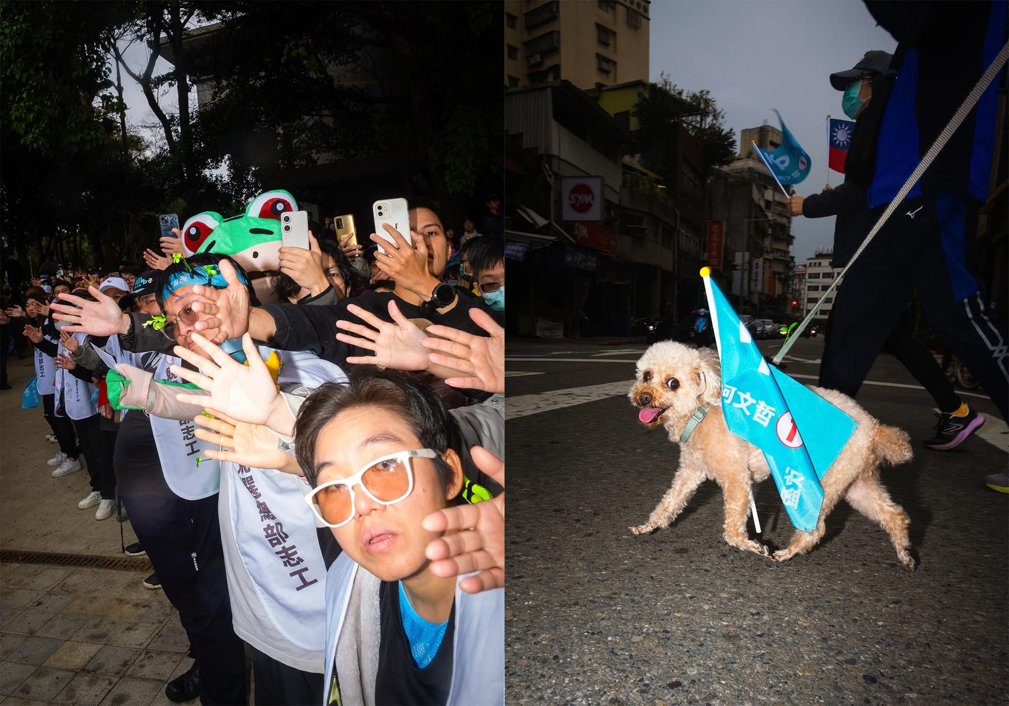 民眾黨的支持者（左），民眾黨支持者的狗（右）。攝：陳焯煇/端傳媒