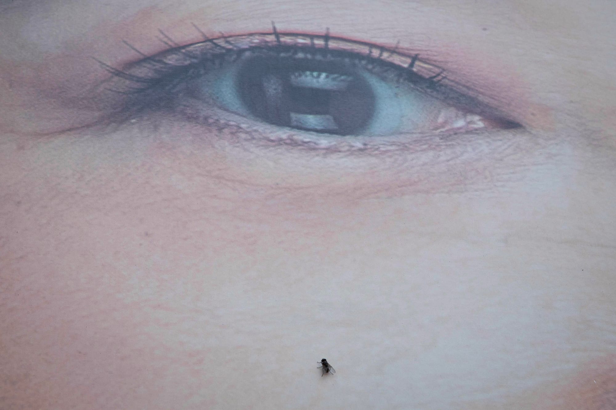 2024年1月8日,台北。攝:陳焯煇/端傳媒