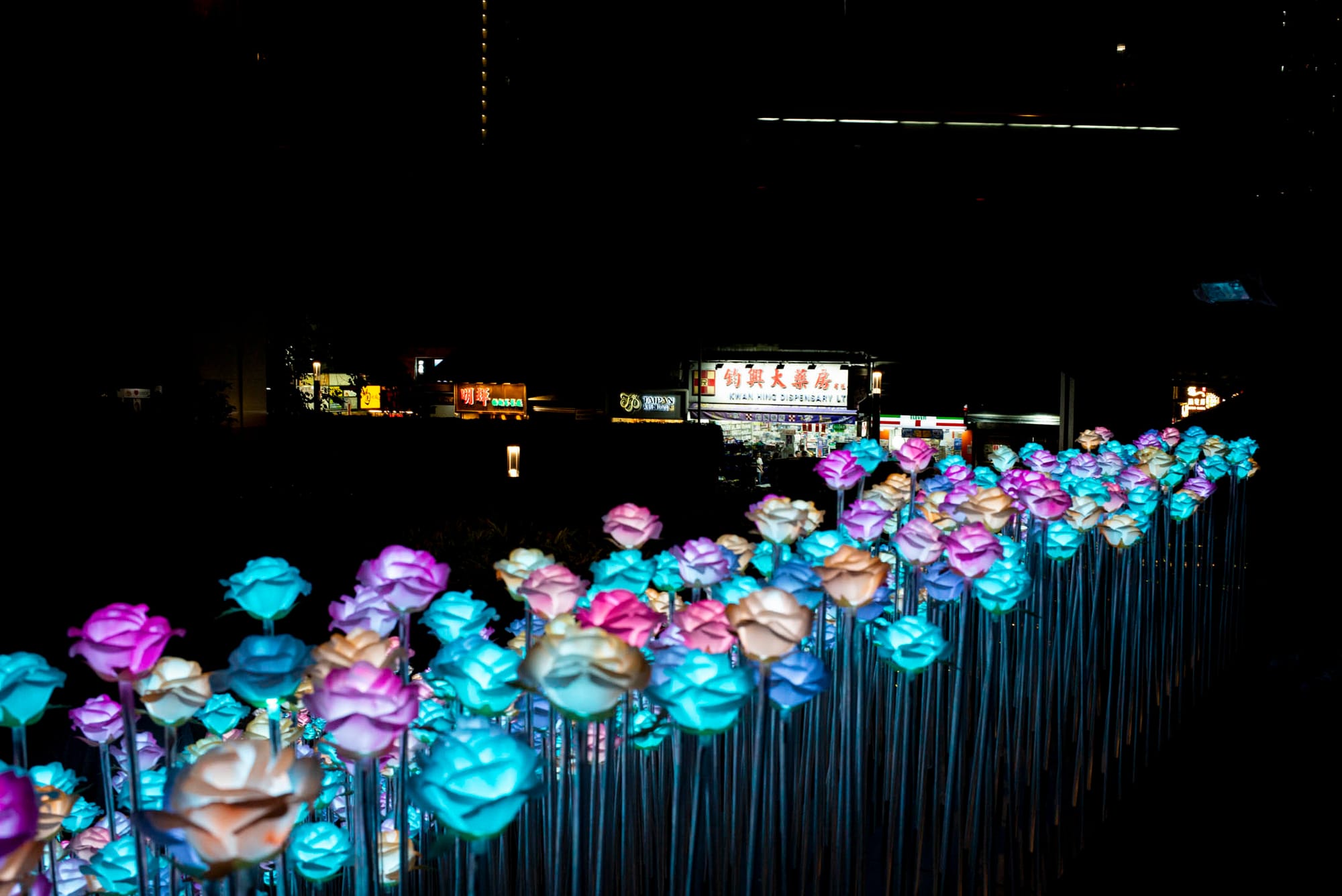 2024年3月28日，九龙湾东九文化中心 LED 花海。摄：林振东/端传媒