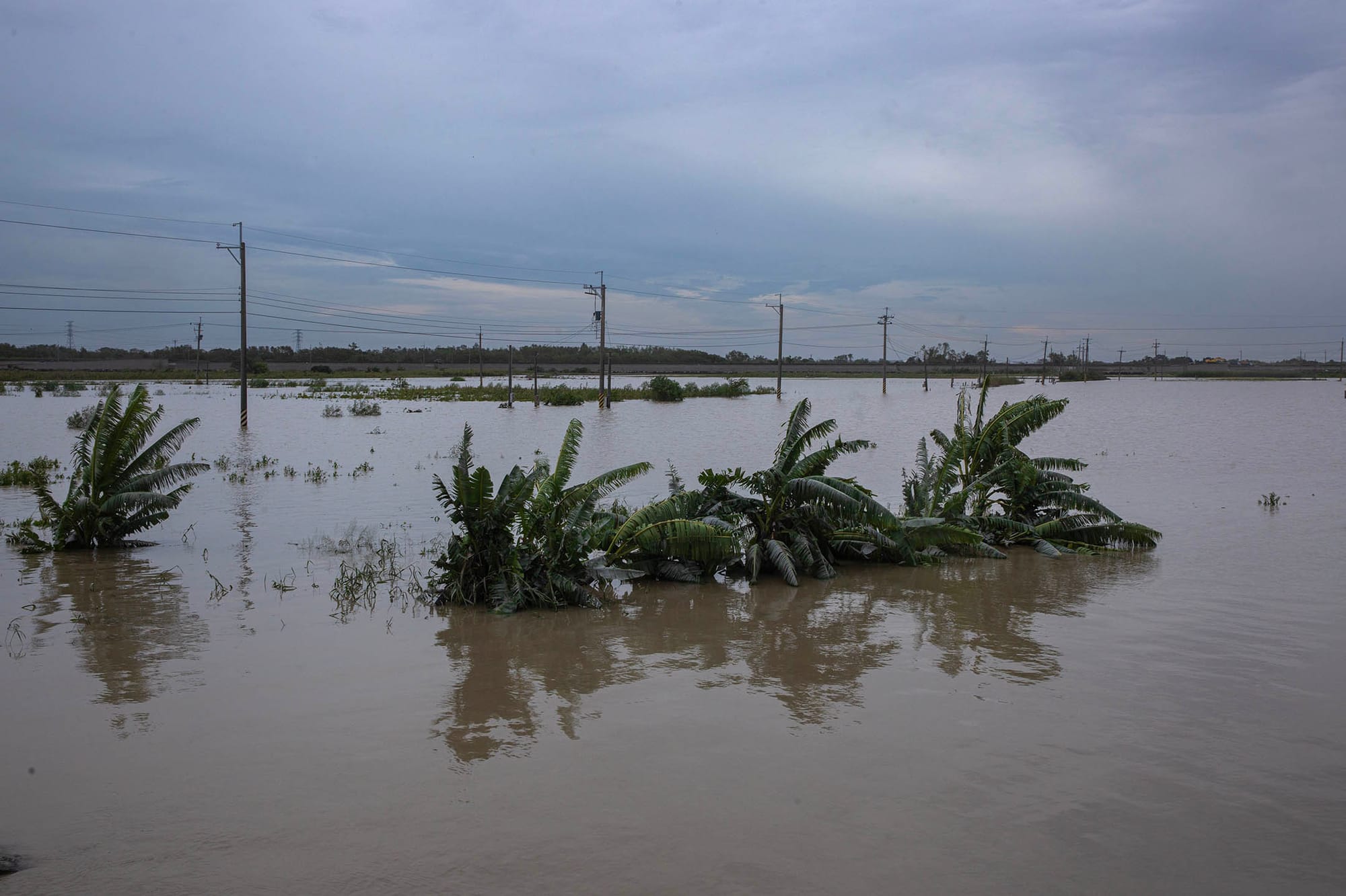 2024年7月27日,台南後璧,一個淹沒了的農田。攝:陳焯煇/端傳媒