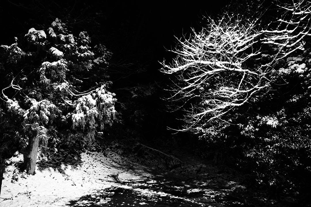 2016年1月24日,台湾阳明山。摄:张国耀/端传媒