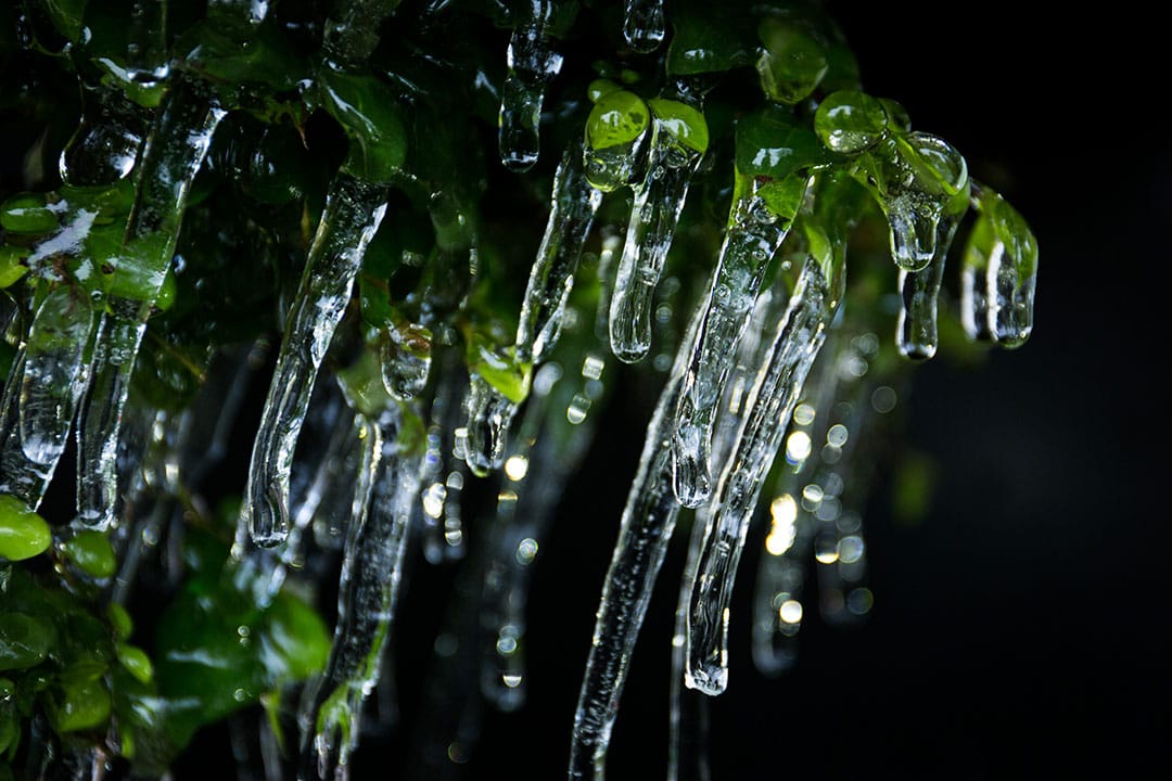 2016年1月24日,香港凤凰山。摄:卢翊铭/端传媒