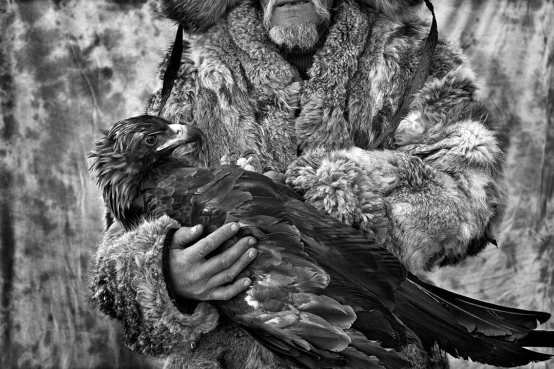 圖片故事《Hunting with Eagles》。攝：Palani Mohan