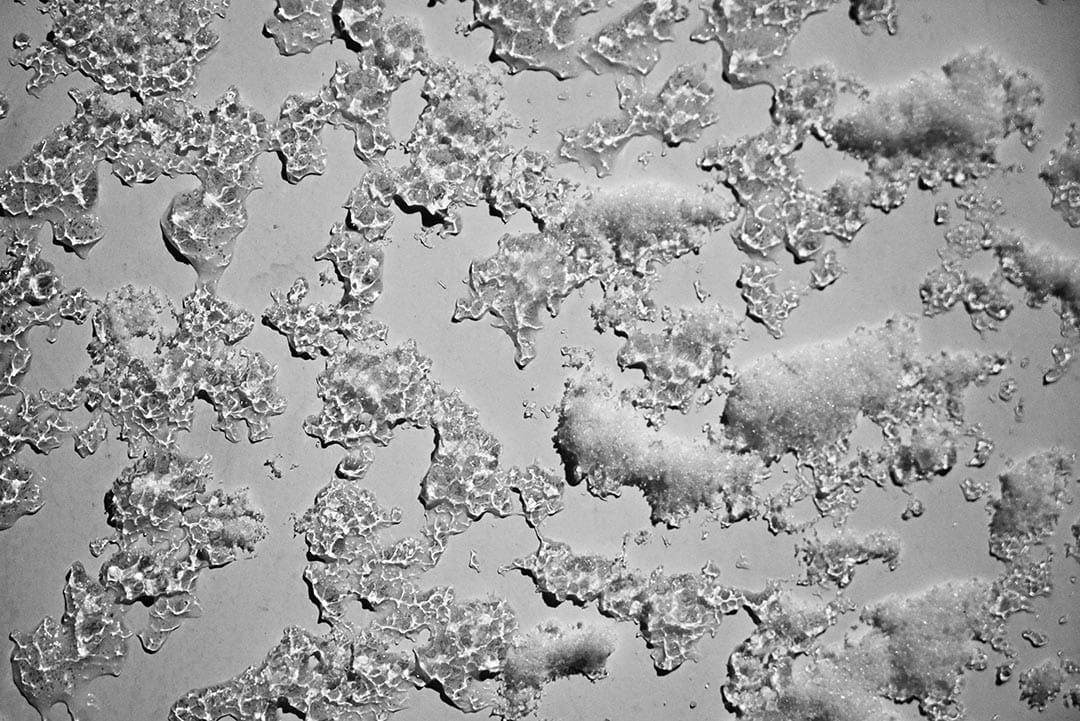 2016年1月24日,台湾阳明山。摄:张国耀/端传媒