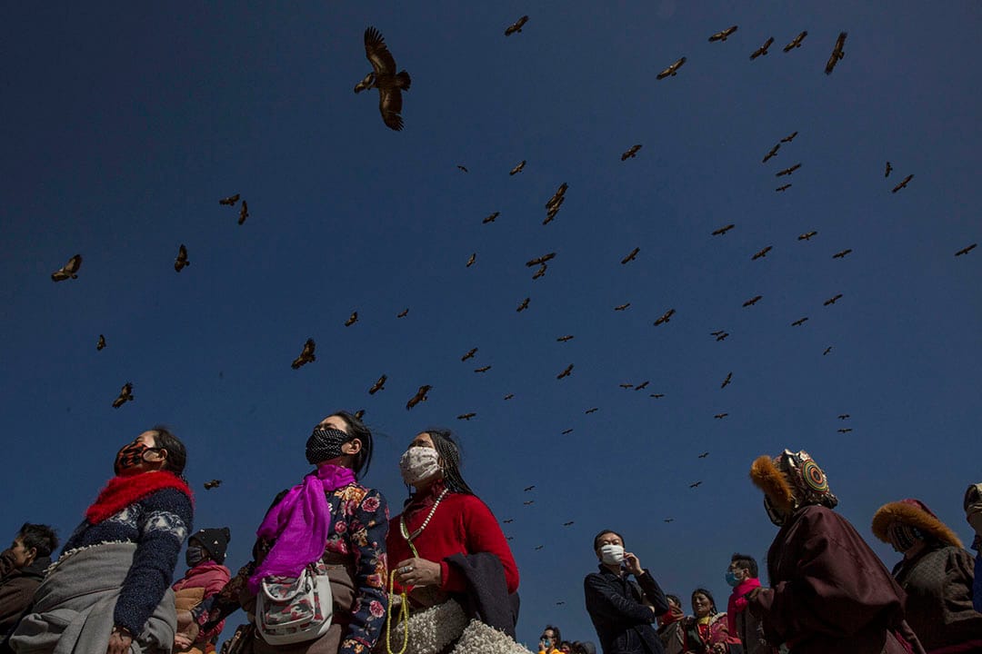 禿鷹在佛學院的人潮上空飛過。攝:Kevin Frayer/Getty Images