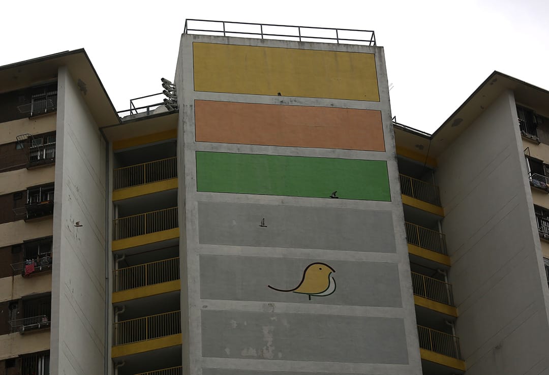 吳姓學生,21歲,大學二年級,沙田。04/11/15