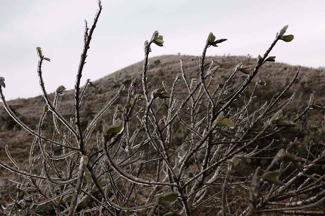 飞鹅山。摄:Anthony Kwan/端传媒