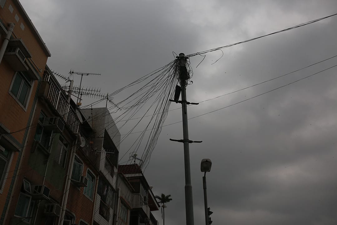 張姓學生,18歲,中學六年級,元朗。28/12/15