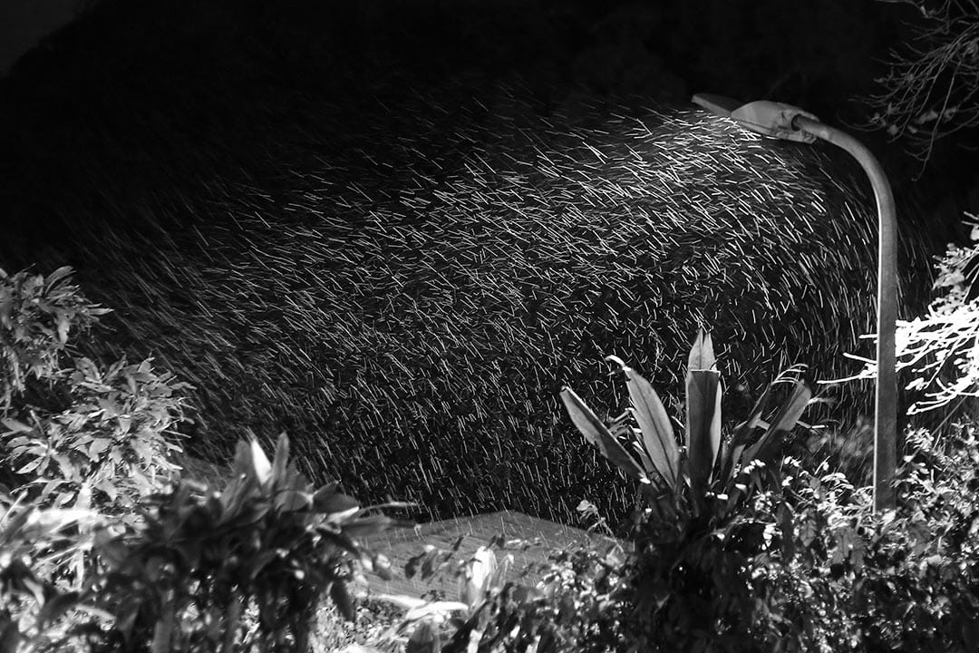 2016年1月24日,台湾阳明山。摄:张国耀/端传媒